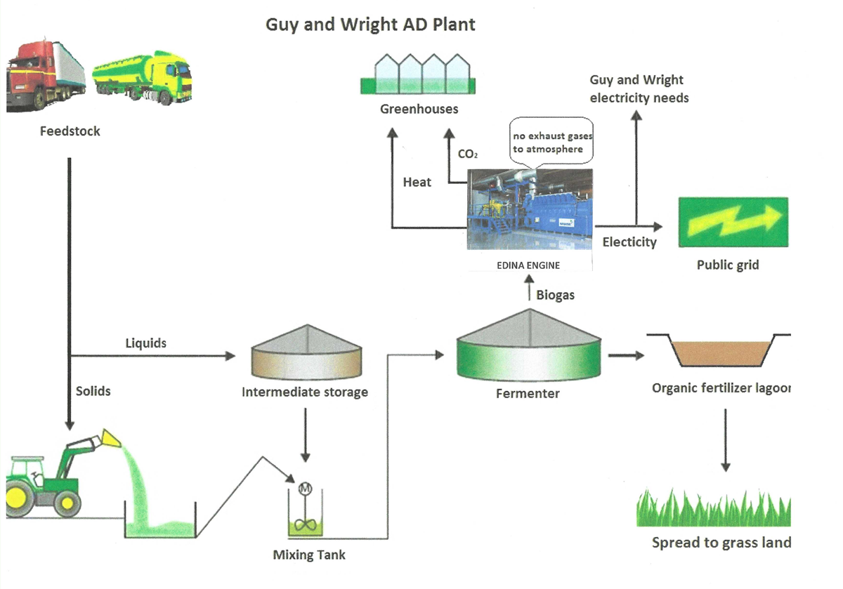 Guy and Wright Energy Model